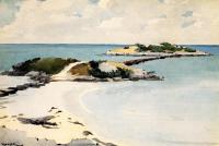 Homer, Winslow - Gallow's Island, Bermuda
